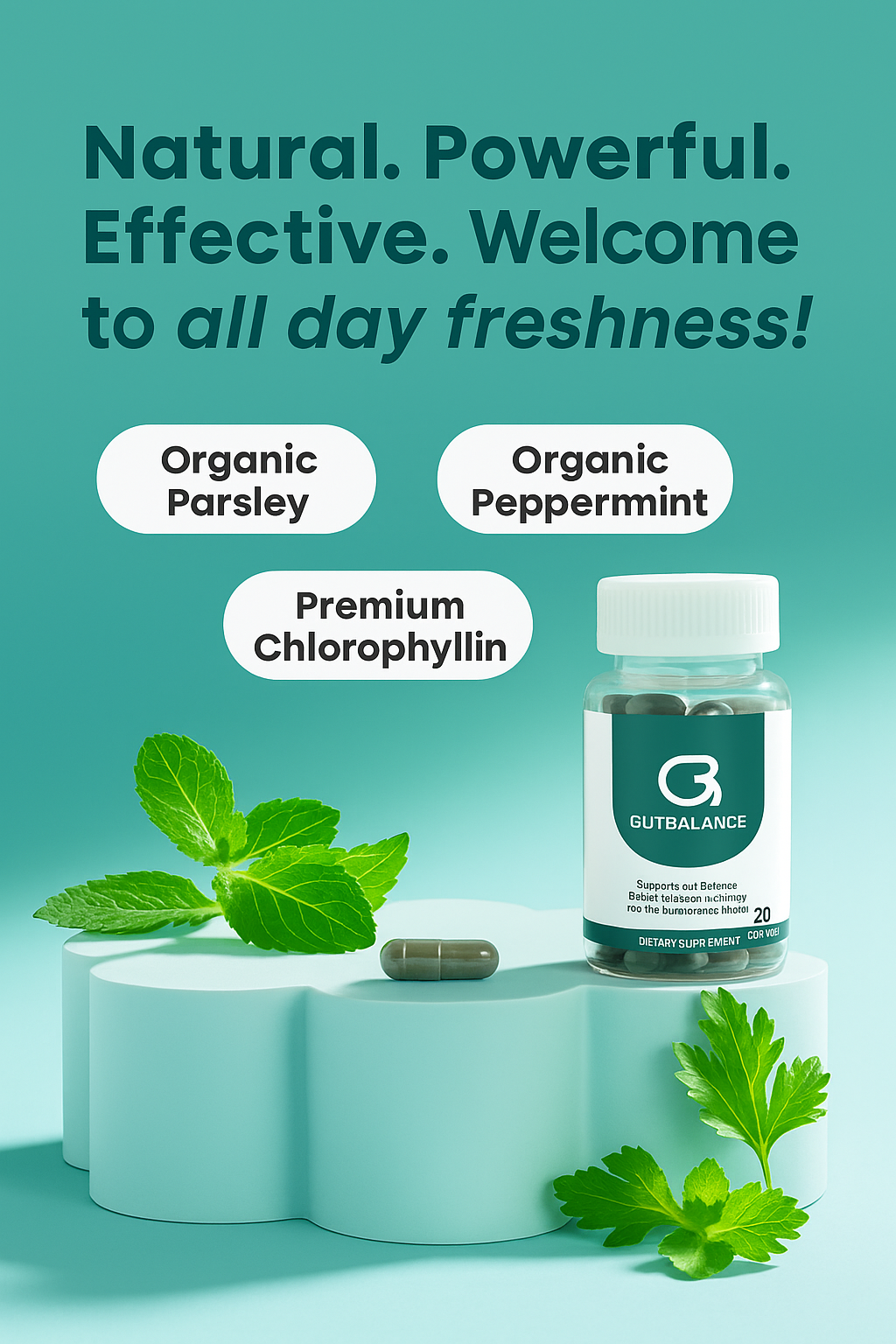GutBalance Supplement